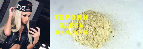 гидра Горняк