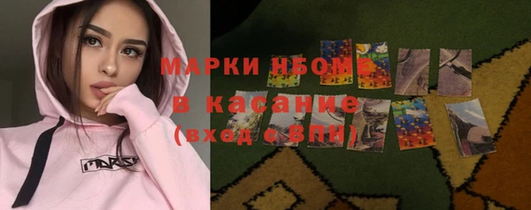 гидра Горняк