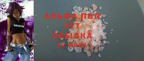 гидра Горняк