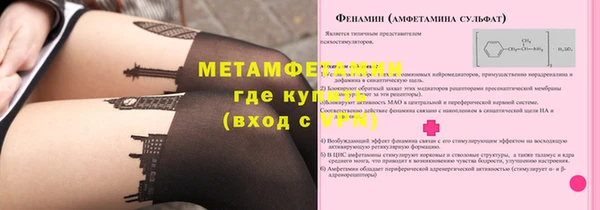 гидра Горняк