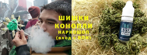 гидра Горняк