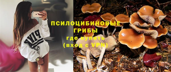 гидра Горняк