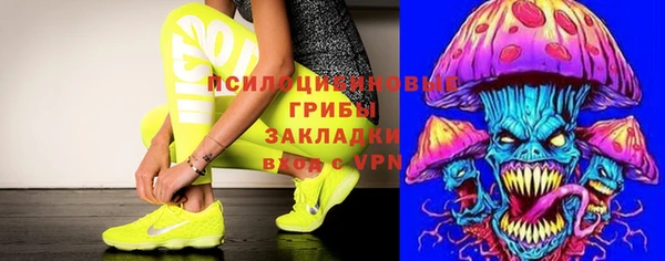 дживик Горно-Алтайск
