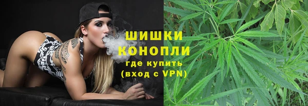 гидра Горняк